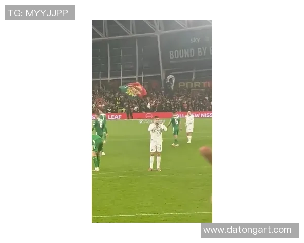 欧冠赛场惊现奇葩一幕球迷冲入场内抢夺C罗球衣引发热议 欧冠赛场惊现奇葩一幕球迷冲入场内抢夺C罗球衣引发热议