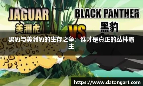 黑豹与美洲豹的生存之争：谁才是真正的丛林霸主